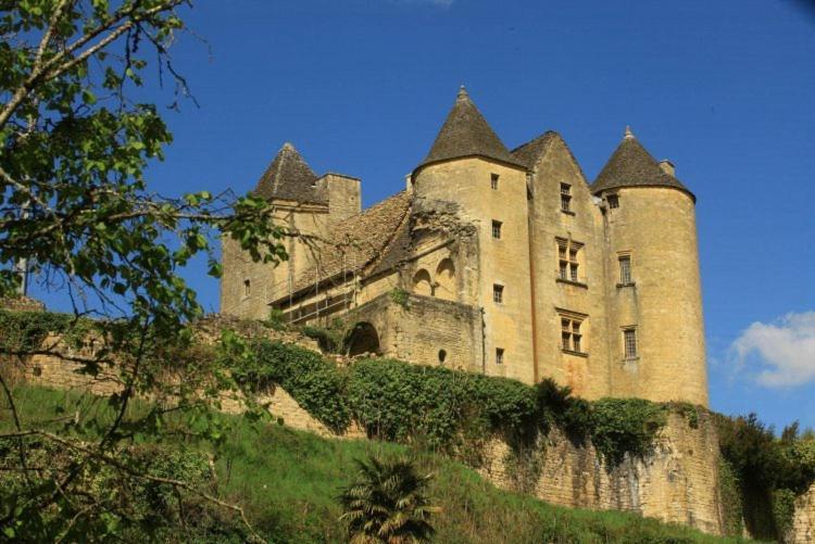 Petite Maison En Pierre Au Coeur Du Perigord Noir Proche De Sarlat Et Rocamadour Salignac Eyvigues Eksteriør billede