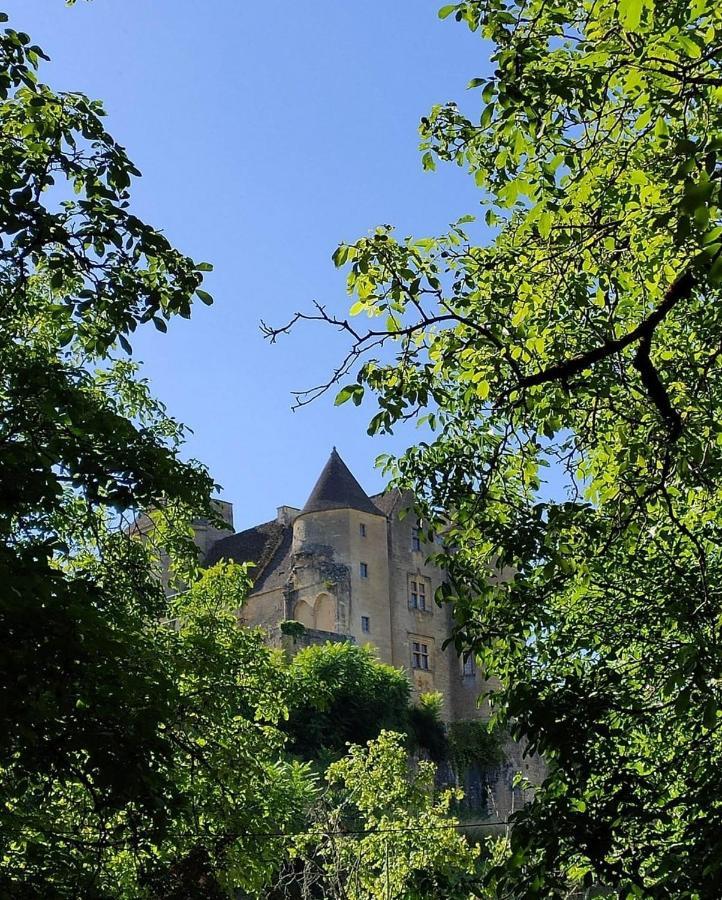Petite Maison En Pierre Au Coeur Du Perigord Noir Proche De Sarlat Et Rocamadour Salignac Eyvigues Eksteriør billede