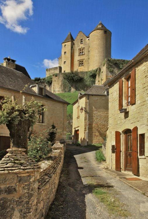 Petite Maison En Pierre Au Coeur Du Perigord Noir Proche De Sarlat Et Rocamadour Salignac Eyvigues Eksteriør billede