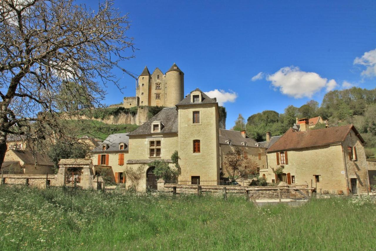 Petite Maison En Pierre Au Coeur Du Perigord Noir Proche De Sarlat Et Rocamadour Salignac Eyvigues Eksteriør billede