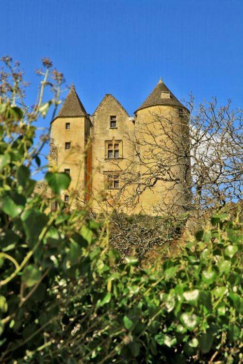 Petite Maison En Pierre Au Coeur Du Perigord Noir Proche De Sarlat Et Rocamadour Salignac Eyvigues Eksteriør billede